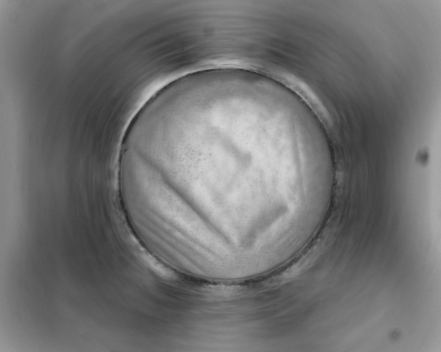 X0000102021236200808011416