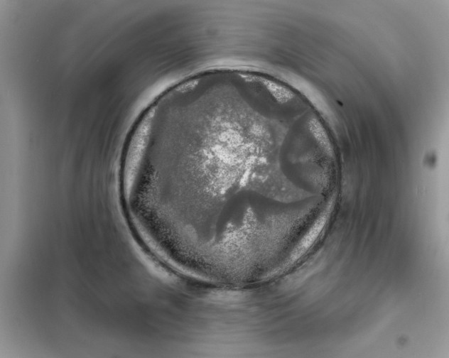 X0000102021237200808011416