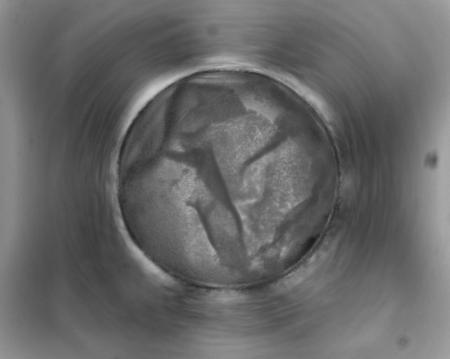 X0000102021239200808011416