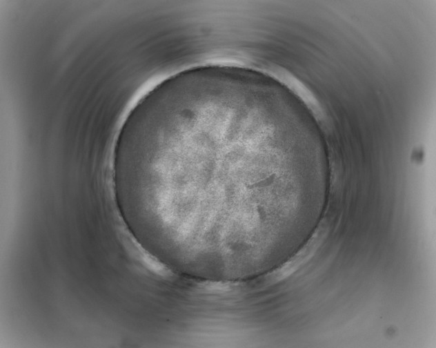 X0000102021240200808011416