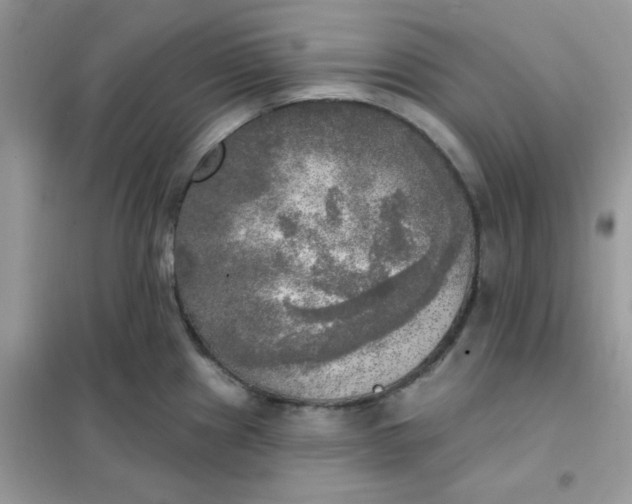 X0000102021241200808011416