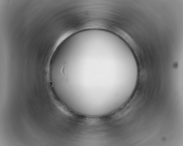 X0000102021242200808011416