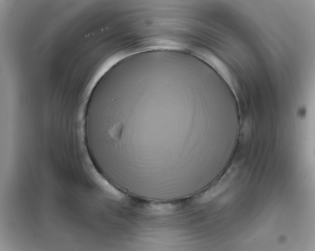 X0000102021243200808011416