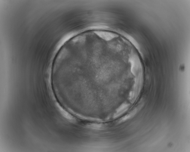 X0000102021245200808011416