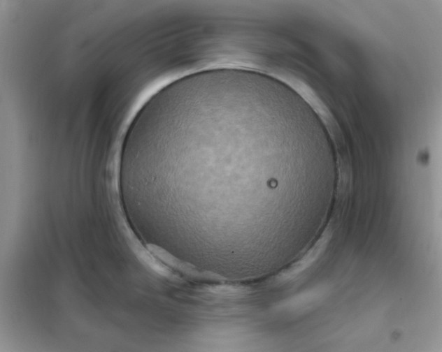 X0000102021246200808011416
