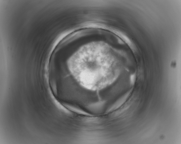 X0000102021247200808011416
