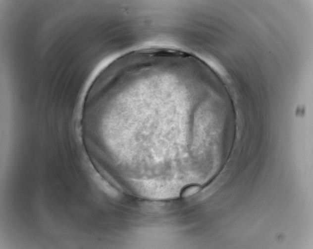 X0000102021248200808011416