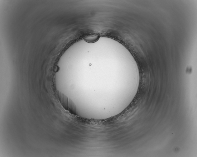 X0000102021249200808011415