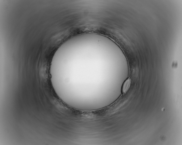 X0000102021250200808011415