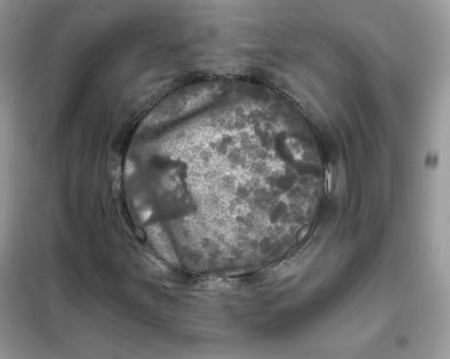 X0000102021251200808011415