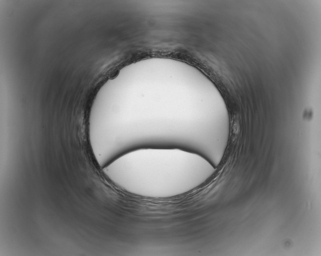 X0000102021252200808011415