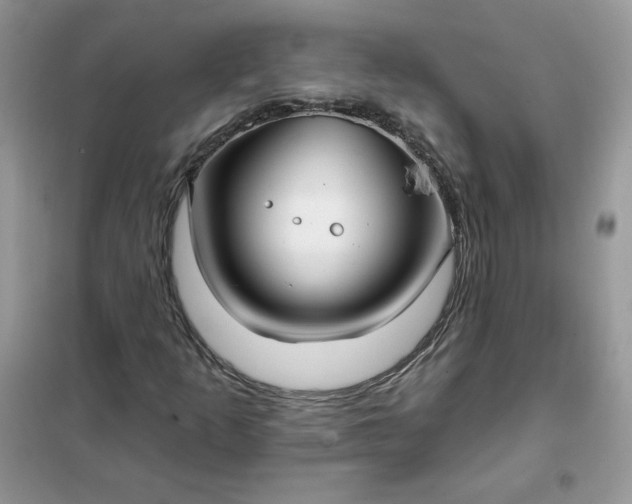X0000102021253200808011415