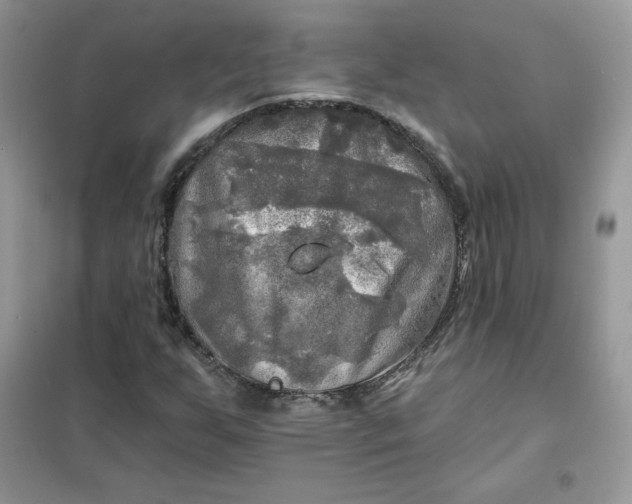 X0000102021255200808011415