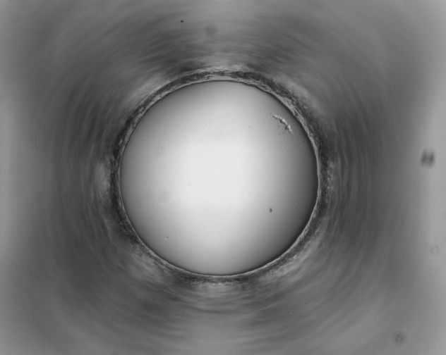 X0000102021257200808011415