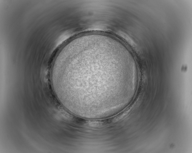 X0000102021258200808011415