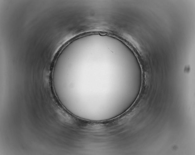 X0000102021260200808011415