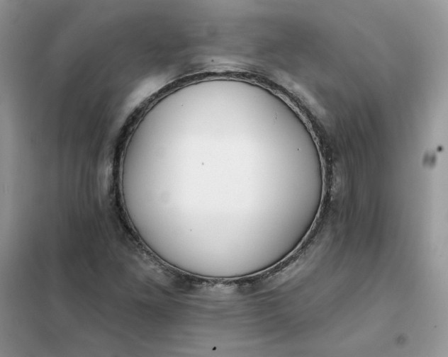 X0000102021261200808011415