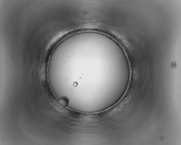 X0000102021262200808011415