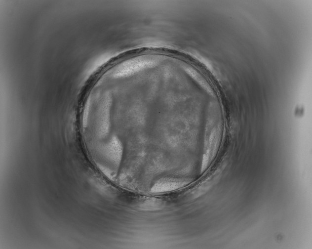 X0000102021263200808011415