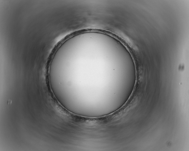 X0000102021264200808011415