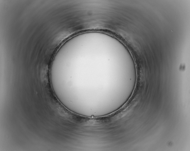 X0000102021265200808011415