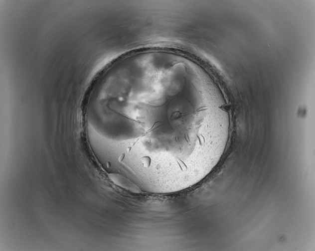 X0000102021267200808011415