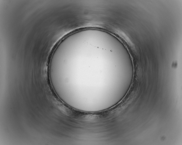 X0000102021268200808011415