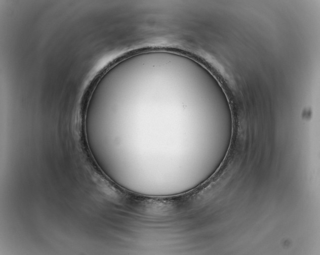 X0000102021270200808011415