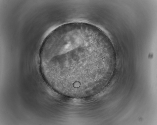 X0000102021271200808011415
