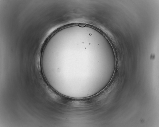 X0000102021272200808011415