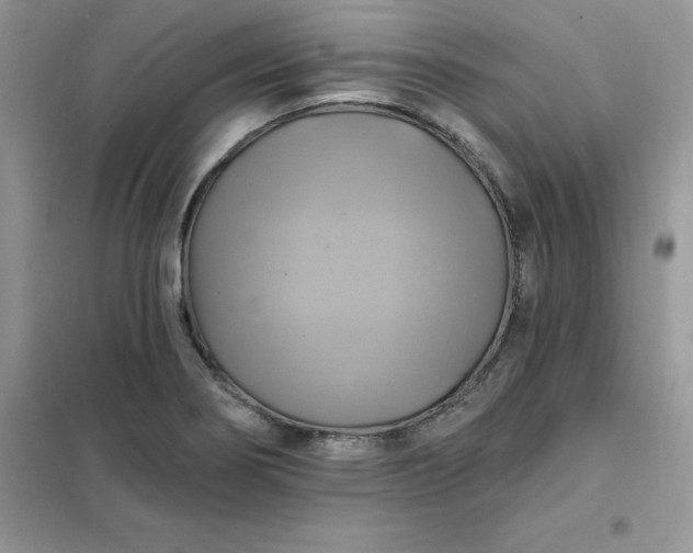 X0000102021274200808011415