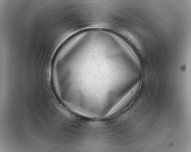 X0000102021276200808011415