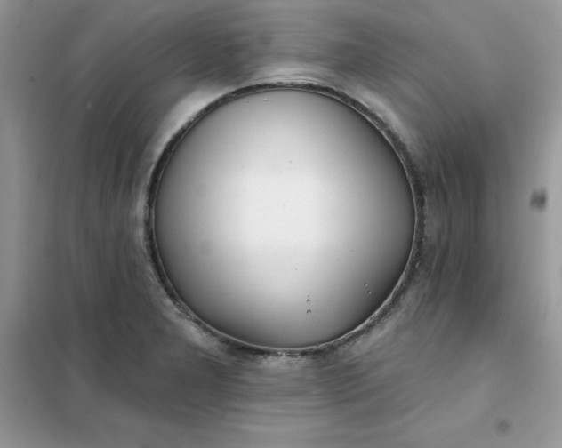 X0000102021277200808011415