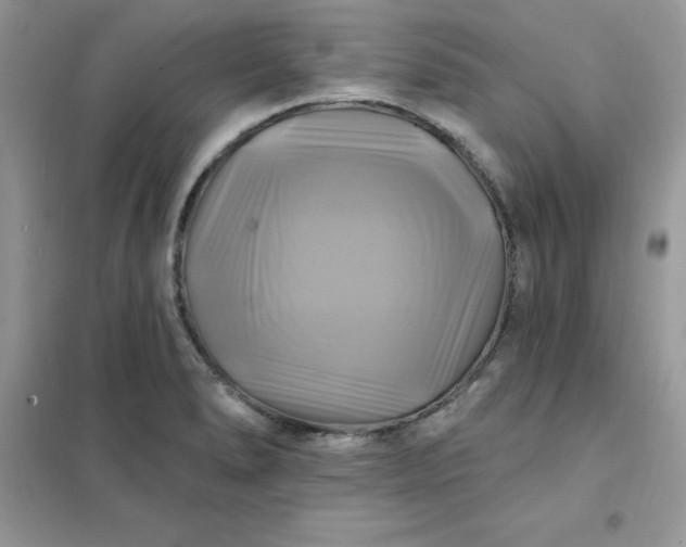 X0000102021278200808011415