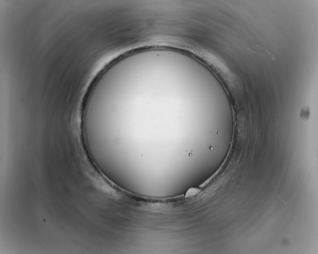 X0000102021280200808011415