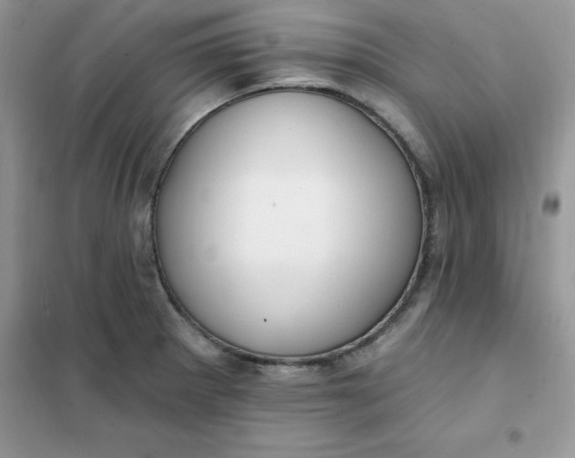 X0000102021281200808011415