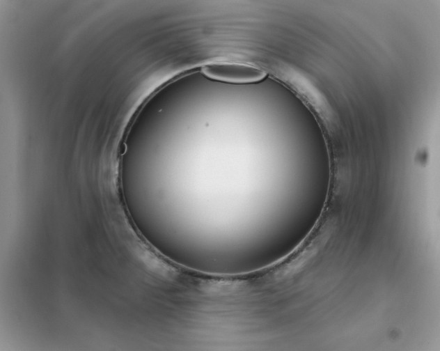 X0000102021284200808011415