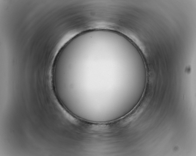X0000102021285200808011415