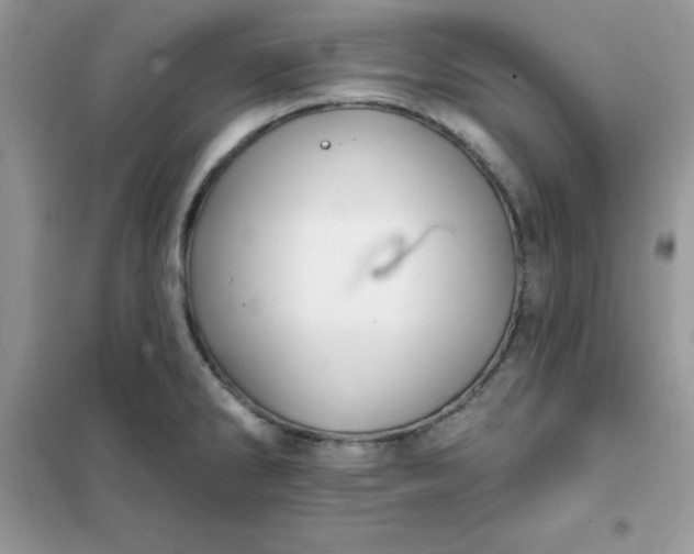 X0000102021286200808011415
