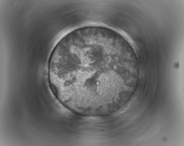 X0000102021287200808011415