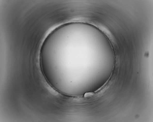X0000102021288200808011415