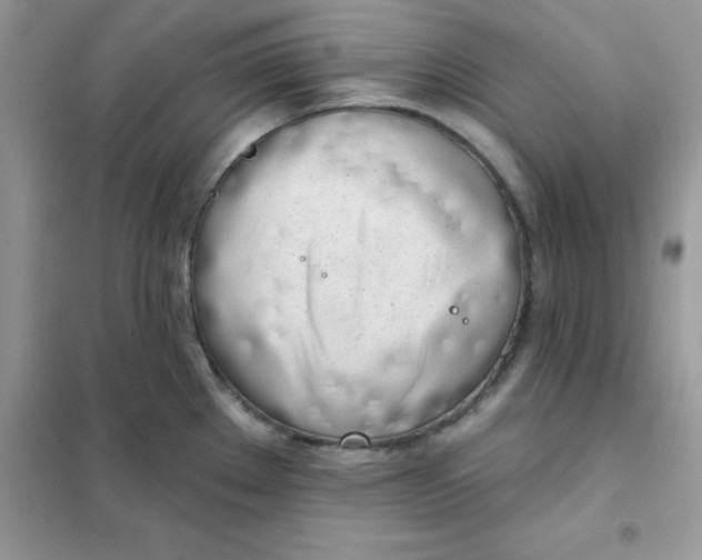 X0000102021289200808011415