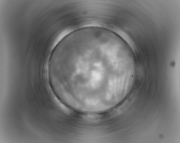 X0000102021290200808011415