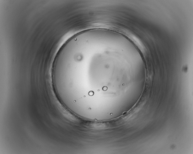 X0000102021291200808011415