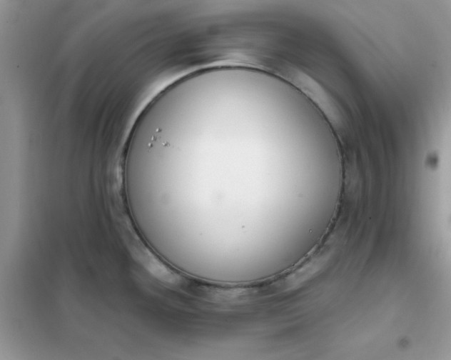 X0000102021292200808011415