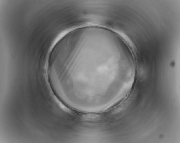 X0000102021294200808011415