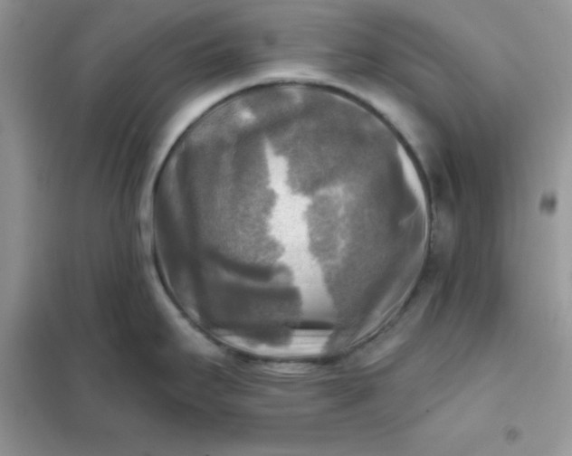 X0000102021295200808011415