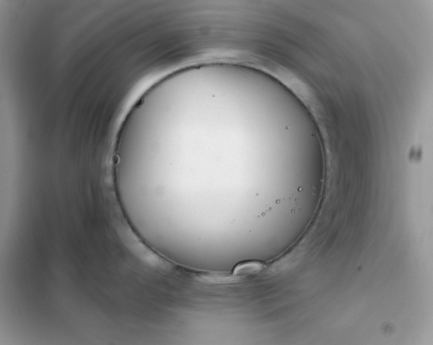 X0000102021296200808011415