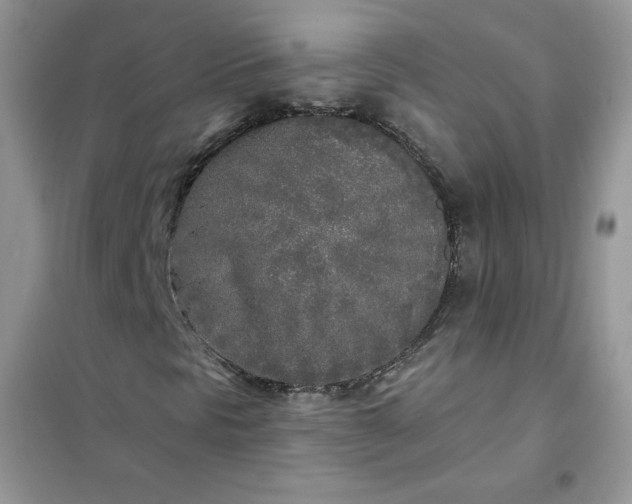 X0000102021297200808011414