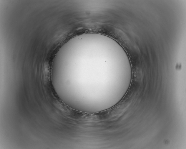 X0000102021298200808011414